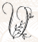 hình v